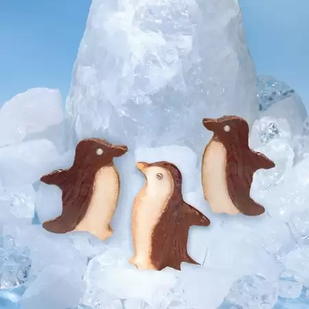 reteta Pinguini de ciocolată bio